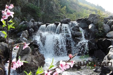 『隨華全，觀天下』 ——走進上虞