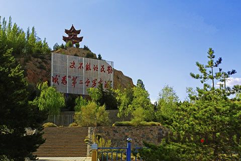 『隨華全，觀天下』 ——走進甘肅民勤