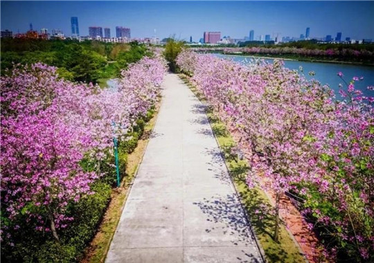 春天來(lái)了！華全發(fā)電機(jī)組趕往珠海，見(jiàn)證百花盛開(kāi)！